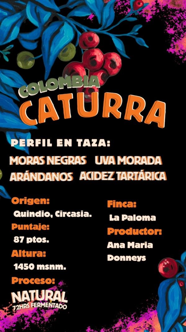 Producto - CATURRA FERMENTADO - CRUDO