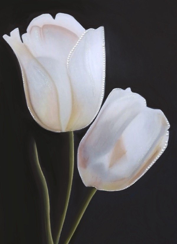 Producto - Tulips