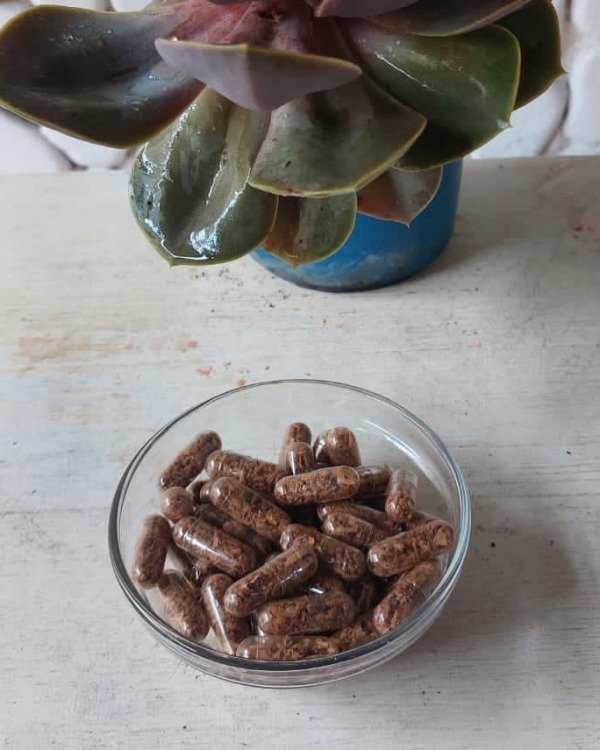 Producto - Blend de 30 capsulas de 0,4 de COLA DE PAVO -FORTALEZA-