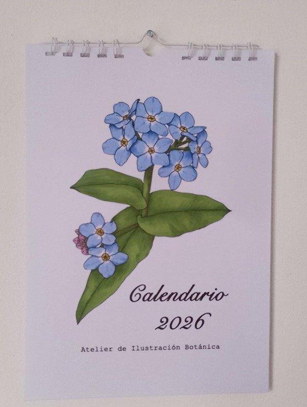 Producto - Calendario 2026
