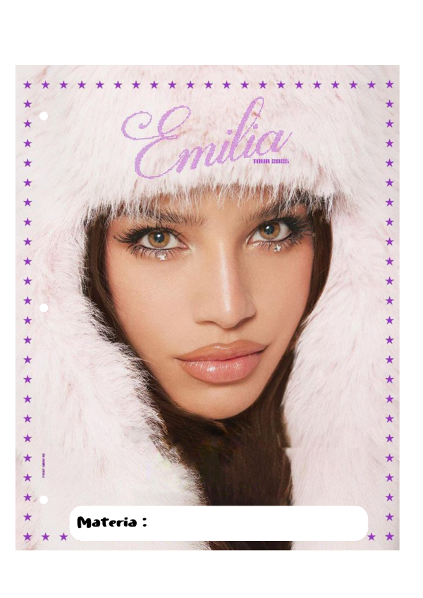 Producto - Emilia Mernes