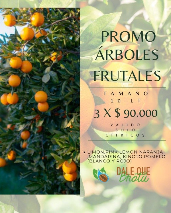 Producto - Promo Frutales Cítricos