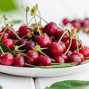Producto - Prunus cerasus (Guinda)