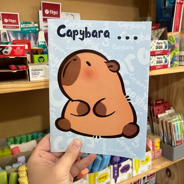 Producto - Cuadernitos rayados