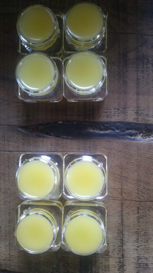 Producto - Bálsamo labial  5cc. Entre Mares y Montañas
