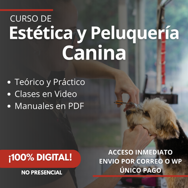 Producto - Curso Estética y Peluquería Canina