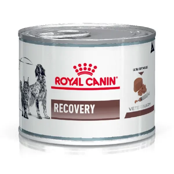 Producto - Lata royal canin recovery wet