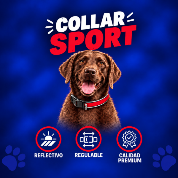 Producto - COLLAR SPORT / Reflex / Acolchado - 1