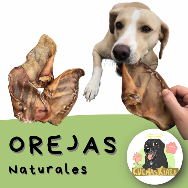 Producto - Promo 2 Orejas