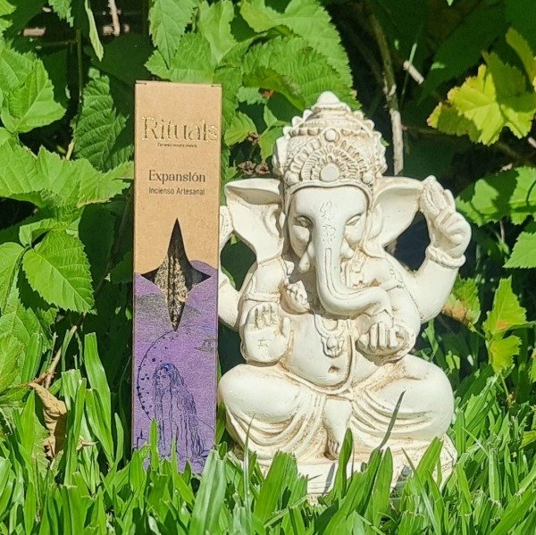 Producto - Expansión