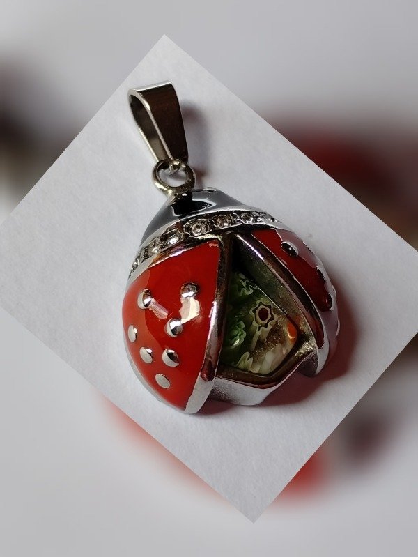 Producto - Mariquita Roja