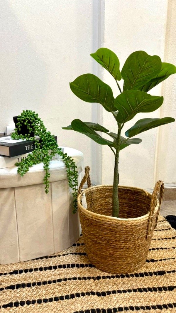 Producto - PLANTA ARTIFICIAL FICUS PANDURATA 70cm