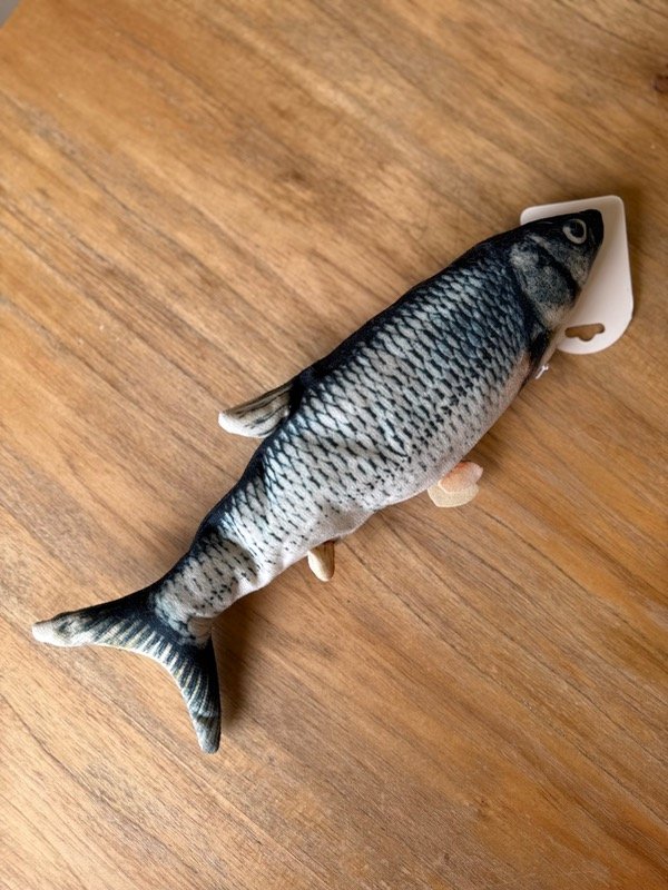 Producto - Pez eléctrico con USB