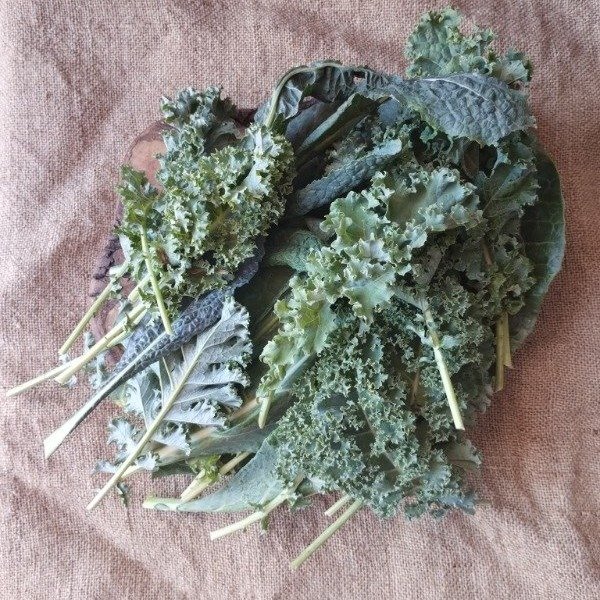 Producto - Kale Mercado de la Tierra