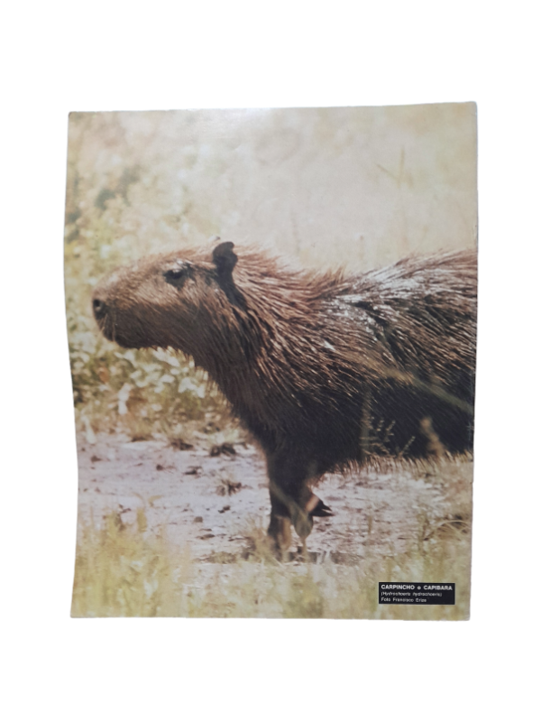 Miniatura de producto - 7