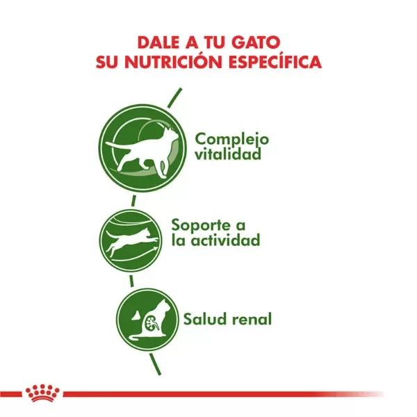 Producto - Alimento Royal Canin Gato Senior Active 7+ - 1,5 Kg - 2