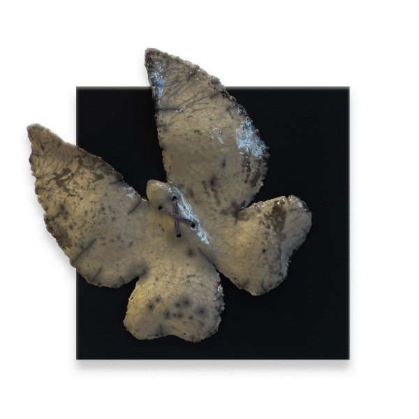 Producto - Alejandra Jones