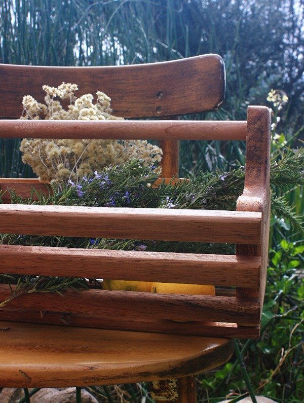 Producto - Cesta de Recolección - 1