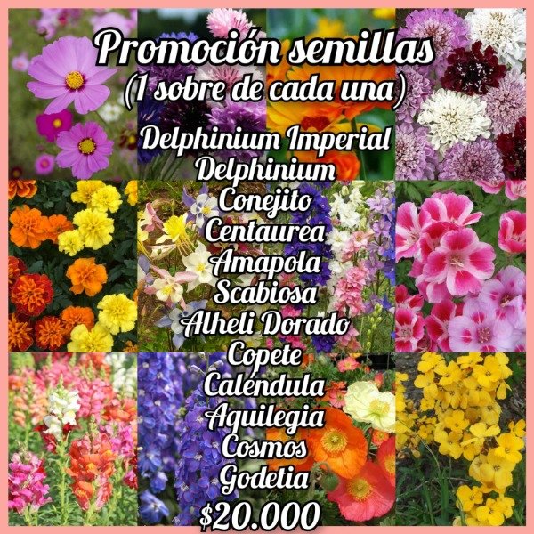 Producto - Promoción Semillas