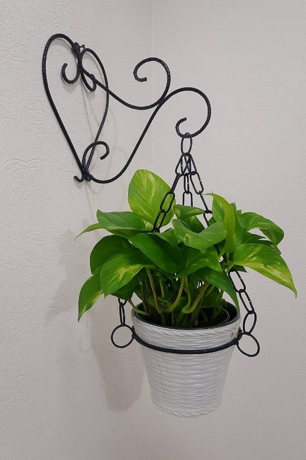 Producto - MACETA COLGANTE