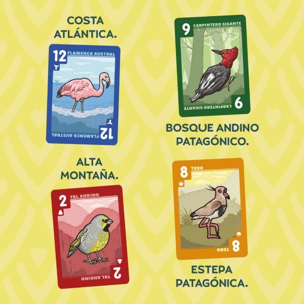 Miniatura de producto - 3