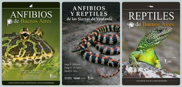 Producto - Anfibios BA + Anfibios y Reptiles Sierras Ventania + Reptiles BA