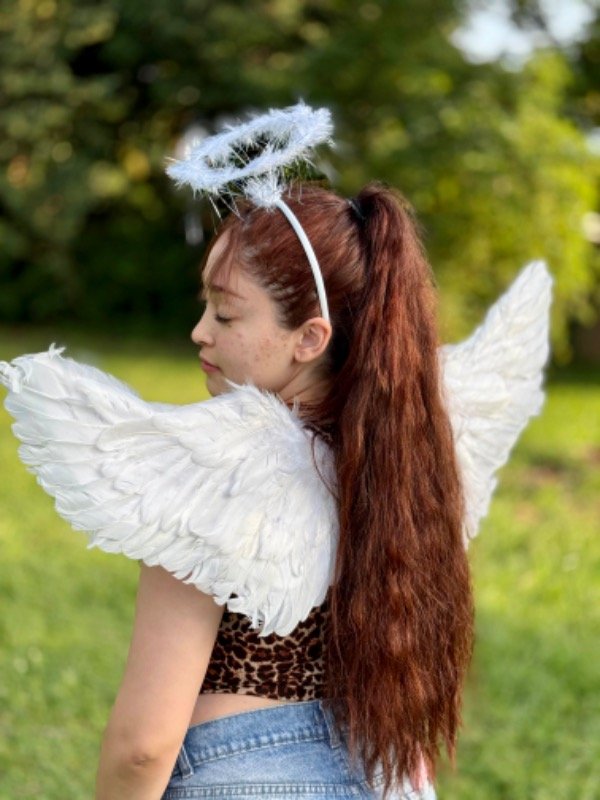 Producto - ALAS + AUREOLA