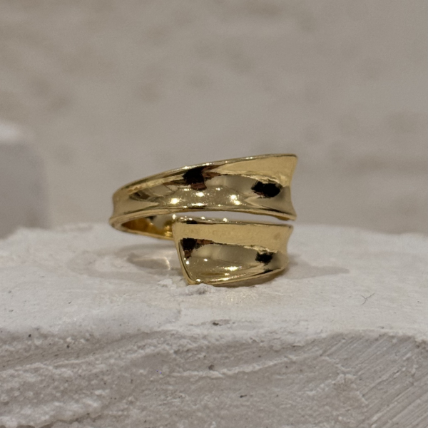 Producto - Anillo envuelto AD