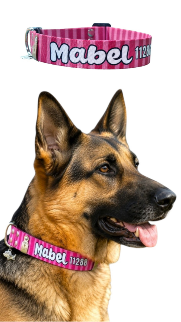 Producto - Collar - 1