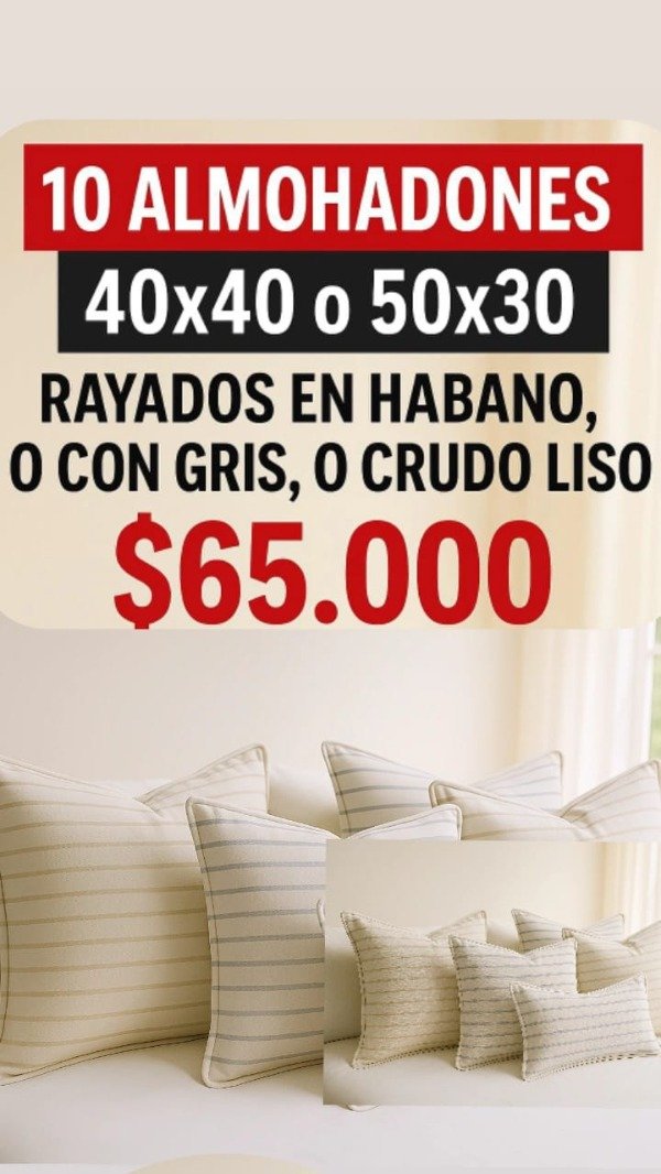 Producto - PROMO EMPRENDORA 10 ALMOHADONES 50X30