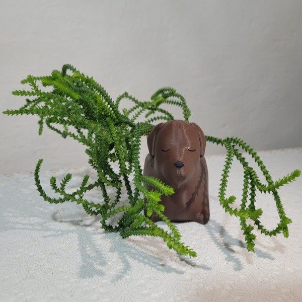 Producto - Perro salchicha