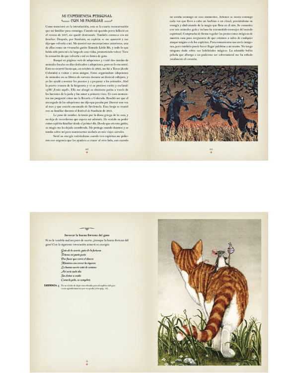 Miniatura de producto - 10