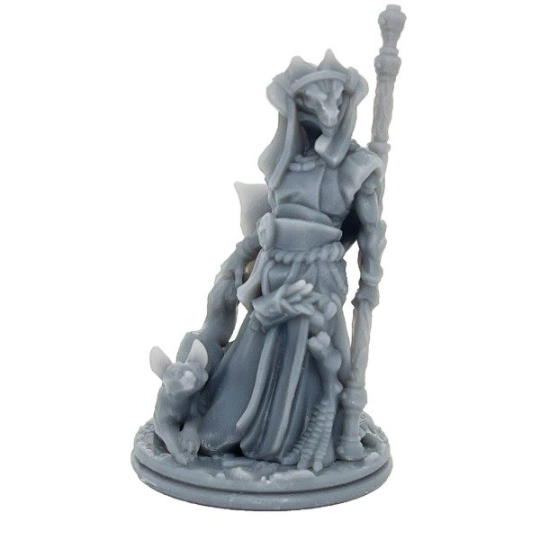 Producto - #1002 A - Dragonborn Druida