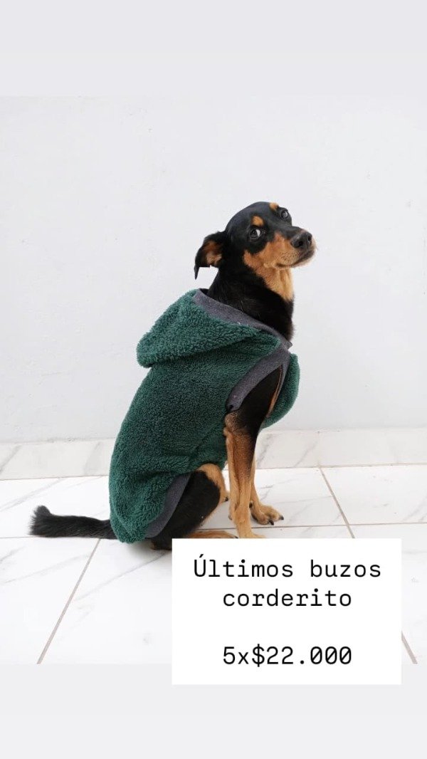 Producto - buzos corderito liquidacion