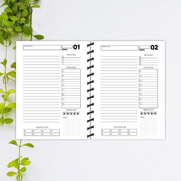 Producto - Agenda 1 dia por pagina