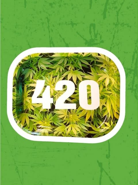 Producto - bandeja 420