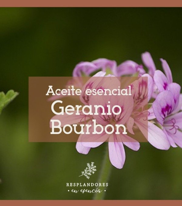 Producto - Aceite esencial Geranio Bourbon