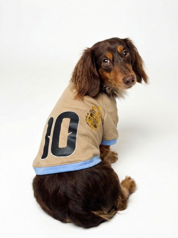 Producto - CAMPERA ARGENTINA