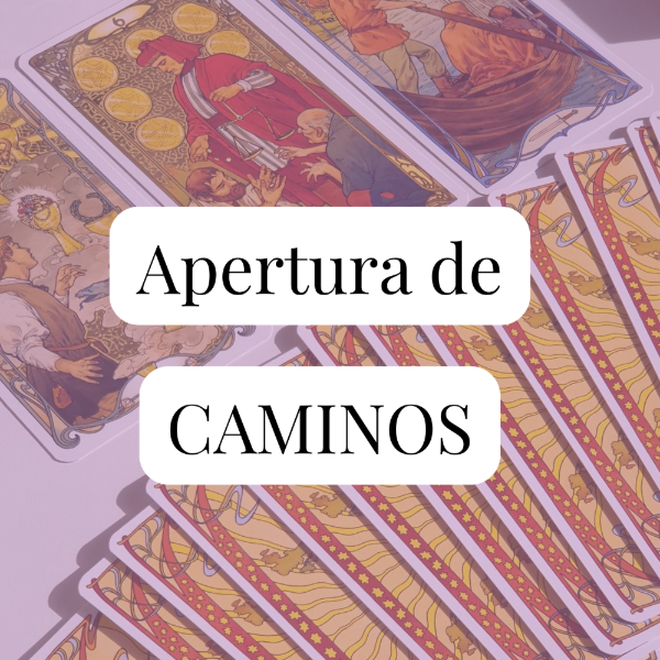 Producto - Lectura Apertura de Camino