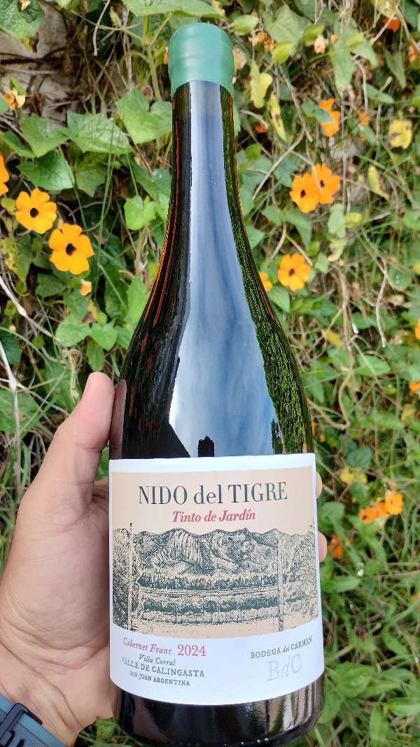 Producto - Bodega del Carmen - Nido del Tigre - Cabernet Franc