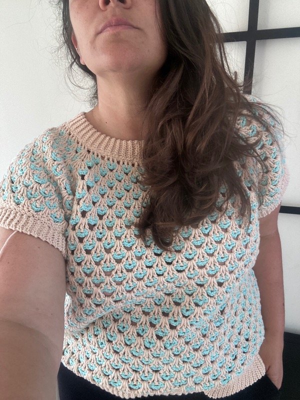 Producto - Guía de tejido sweater aurelia