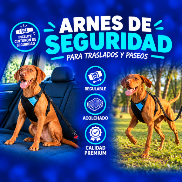 Producto - ARNES DE SEGURIDAD para traslados y paseo / Medium - 2