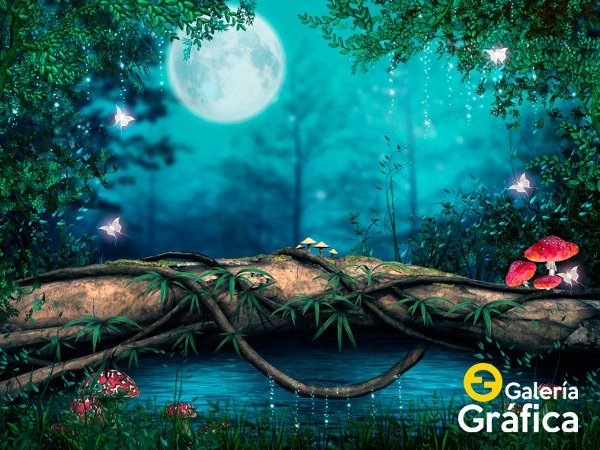 Producto - Bosque FS FS03
