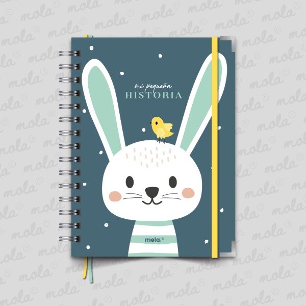 Producto - Libro de Recuerdos - CodMPH006