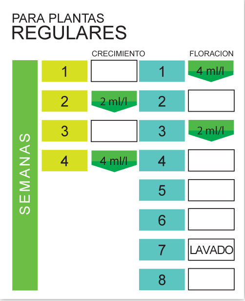 Producto - Namaste Oro Negro - 2