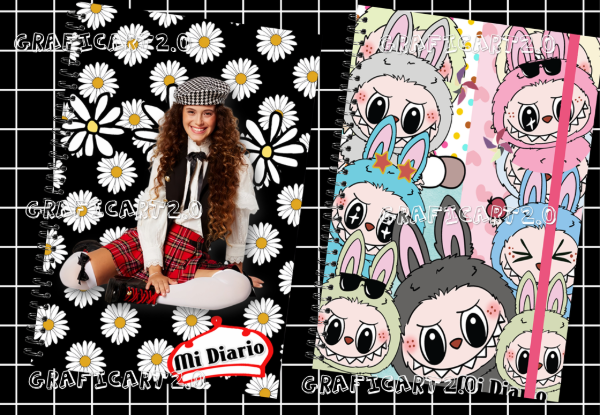 Producto - PACK DE DIARIOS INTIMOS 25