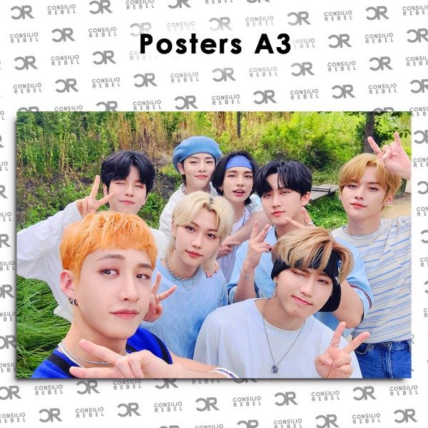Producto - POSTER A3 [ UNIDAD ]