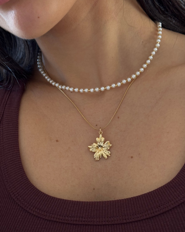Producto - Set #23