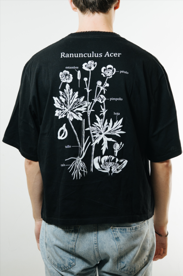 Producto - Ranunculus acer (espalda) - Boxy Fit