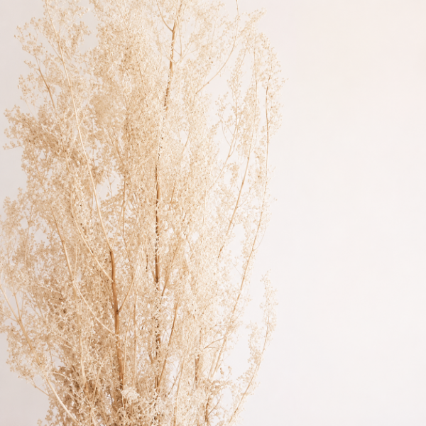 Producto - RAMO PAICO BLANQUEADO